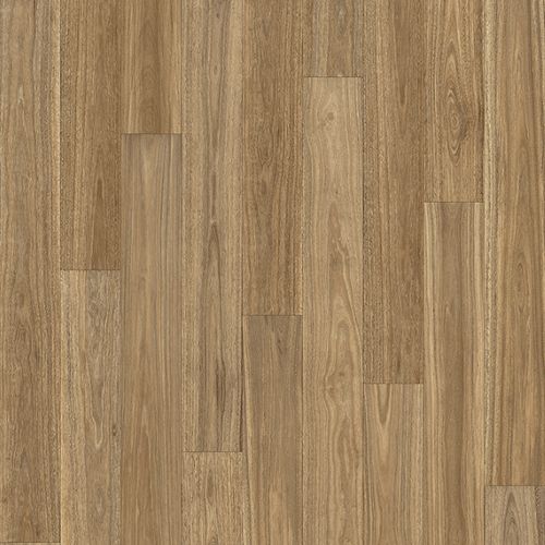 Savannah Spotted Gum 606l
